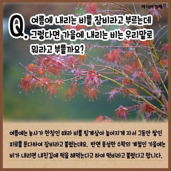 머드러기 이미지