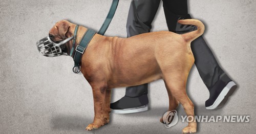 물수 이미지