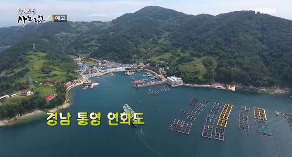 사노라면 이미지