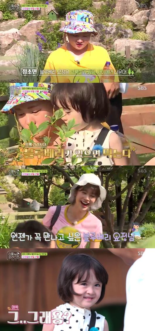Jung So-min and Blueberry fairy transformed to succeed in super large blueberry tree planning.Jung So-min and Park Na-rae challenged the huge blueberry tree planning on the 16th SBS entertainment Little Forest and continued the night work.The two of them succeeded in this, Jung So-min said, I am so upset to say that this fairy did it. Park Na-rae said, I want to show that we did it.The day after the Blueberry Fairy went, Jung So-min also transformed into a cleaning fairy and started the morning.Jung So-min lured children to blueberry fairyThe children did not believe it and smiled at the blueberry tree. Jung So-min said, It is here that the fairy has come, and Lee Seung-gi also said.The children showed pure concentricity with the secret gift, saying, The fairy came and went, thank the blueberry fairy.Jung So-min smiled at the fact that the children who did not believe in the fairy believed in blueberry magic.When the children started eating blueberries one by one, and wanted to meet blueberry fairy, Jung So-min laughed, saying, Blueberry fairy comes when you sleep.In the meantime, Lee Seo-jin has gone into making handmade bread.Lee Seung-gi mentioned Lee Seo-jin, who makes bread, Lets make blueberry jam, and the children took the blueberry directly and brought it to the hostel.Little Forest broadcast screen capture