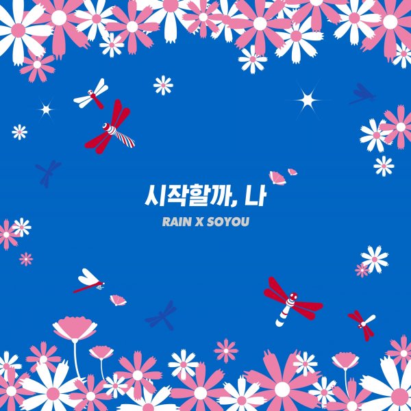소유 이미지