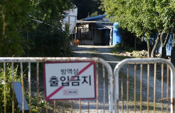 돼지33 이미지
