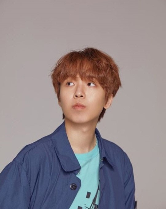 해쉬 이미지