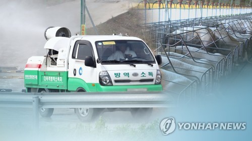 파주서 폐사율 100% 아프리카돼지열병 확진…국내 첫발생 (CG) [연합뉴스TV 제공]