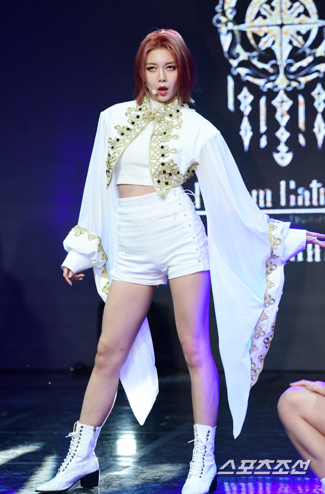 다미스토리 이미지