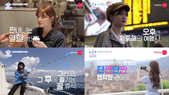 홀리데이바이크 이미지