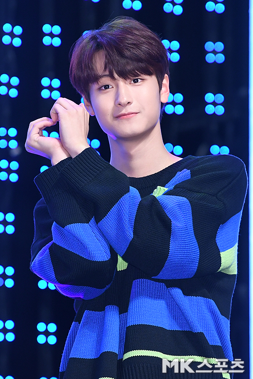 틴틴 이미지