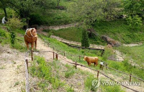 황부자 이미지