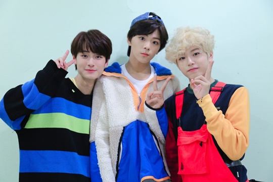 틴틴 이미지