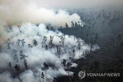 인도네시아의 최근 산불 현장 [EPA=연합뉴스]