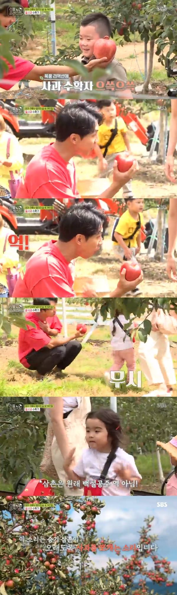 Little boys turned away from Lee Seung-gi, who became Snow White (?).On the 23rd, SBS Little Forest: Summer of the Bakgol (hereinafter referred to as Little Forest) featured Little Lee, Lee Seung-gi, Park Na-rae, Lee Seo-jin and Jung So-min who found apple trees.On the show, Lee Seung-gi taught Little how to pick apples; Lee Seung-gi told Lee Han-yi, You have to turn it slowly and pick it up.Lee Han-yi succeeded in picking apples and was praised by Lee Seung-gi, who showed off with apples on his face; Grace distinguished the harvested apples.Grace, who counted, laughed, saying, Its eight.Lee Seung-gi, who tasted the apples the Littles had picked up, suddenly collapsed, saying, Its a honey apple. Grace turned and laughed at the clumsy smoke.Lee, who caught the apple, said, I will try it. Lee Seung-gi, who was in a hurry, said to Lee, I can not eat because I do not have it.Give me a bite of The Uncle, he laughed.Lee Seung-gi, who split the apple, was reeling and struggling.Jung So-min and Park Na-rae laughed at the sad look, saying, I will catch people and Let me say a word, The Uncle cheer up.