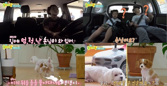 똥강아지 이미지