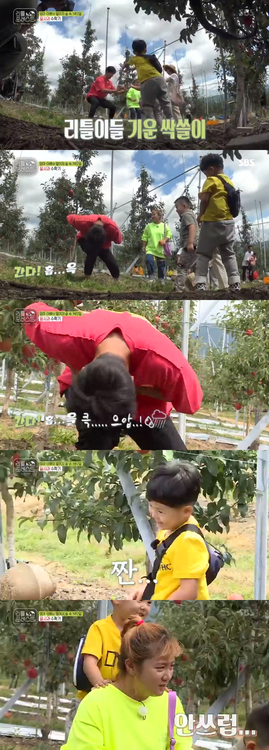 Little Forest Lee Seung-gi fails to defeat apple and plays Storm ActingLee Seung-gi failed to break the apple in the SBS entertainment program Little Forest broadcast on the 23rd.On that day, Park Na-rae asked Lee Seo-jin to split the apple; Lee Seo-jin said, How do you split this.I can not, he said, and Lee Seung-gi said, Do the Uncle? Park Na-rae called the Littles, saying, Boys, the Uncle is splitting apples.Lee Seung-gi said as the audience grew, Dont be so patronized, sister.I am not nervous, he said, but Park Na-rae raised the expectation of Little by shouting, It is not a show that comes every day when you sleep. However, Lee Seung-gis apple defeat failed disastrously; when Lee Seung-gi did not split the apples even with all his powers, Park Na-rae said, I can.Youre the one who made the tree house. I can do it. Jung So-min said, Ill catch people, Ill catch people. Eventually, as Littles dispersed, Lee Seung-gi returned with a knife in his apple and a secret scratch.And once again, I called Little and laughed at the luxury act of splitting apples.