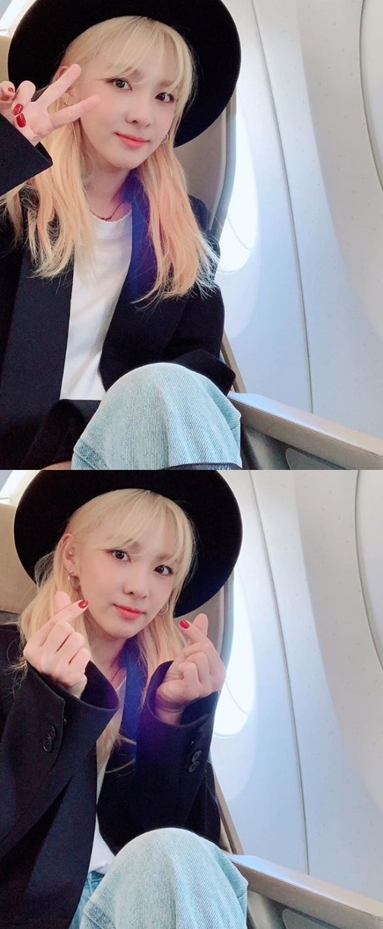 산다라헤어 이미지