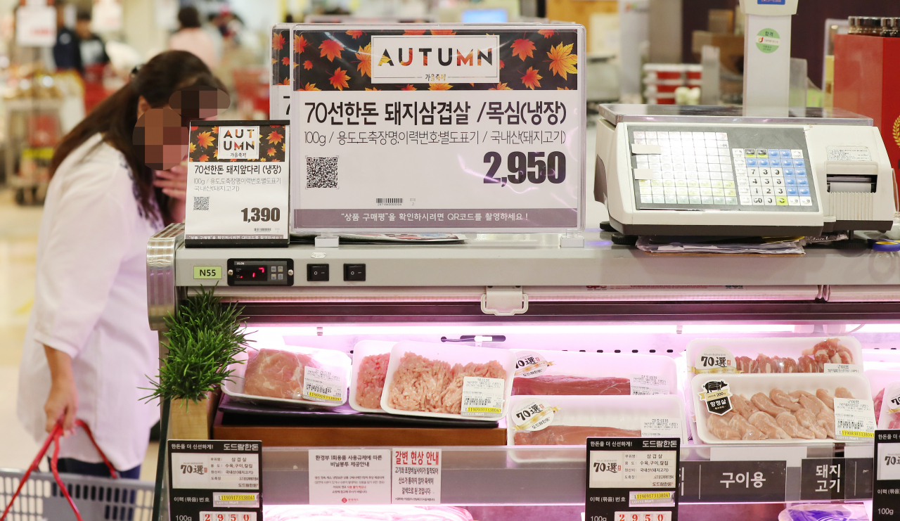 애국돼지 이미지