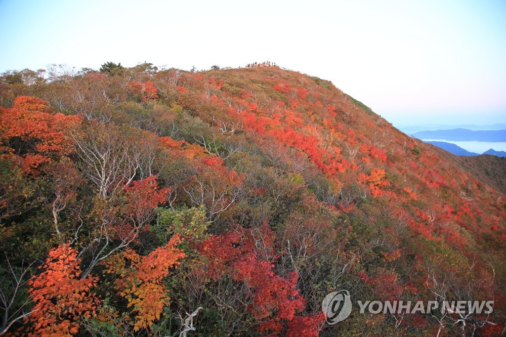 붉게 물드는 설악산 단풍