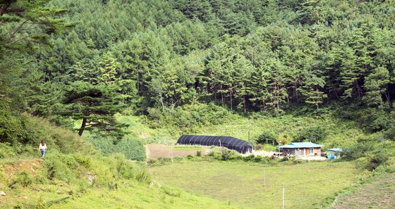 ‘삼시세끼-산촌편’의 무대 방제1리 매화동. 정선에서도 오지로 통한다.