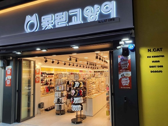 못된고양이 이미지