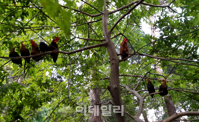 서순천가든 이미지