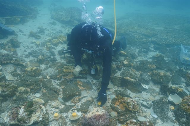 제주 신창리 바다에서 유물을 수습하는 모습. 문화제청 제공
