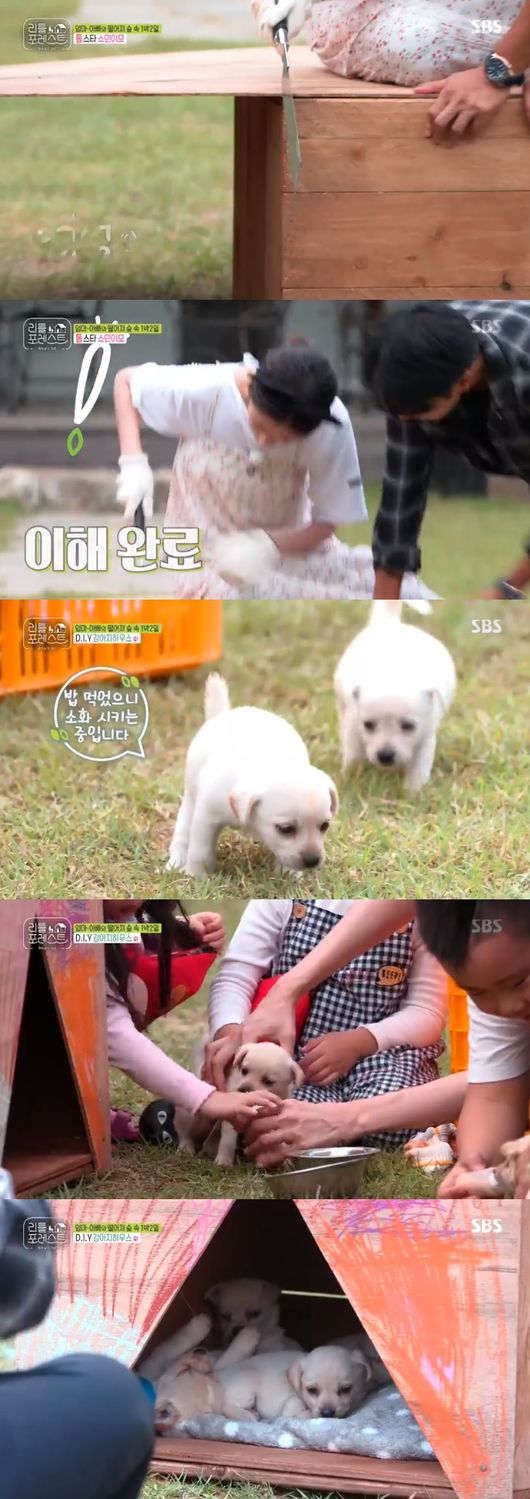 Lee Seung-gi, Lee Seo-jin and Jung So-min showed off their skills for the Little.In the SBS Monday entertainment Little Forest: Summer of the Tick-Buck (hereinafter referred to as Little Forest) broadcast on the 30th, Lee Seo-jin x Lee Seung-gi x Jung So-min x Park Na-rae was portrayed to create new memories for Little.Lee Seung-gi planned to make a swing saying that he would like to enjoy a lot of things he can do in the forest, and Lee Seo-jin was worried that he was unsettled.Lee Seung-gi found a tree to make a swing with Lee Han-i, and Seung-gi wrapped a line around a stone and threw it on a tree, but he made a mistake and Lee Han cheered for be strong.Lee Seung-gi succeeded in Lee Han-yis support, and asked Lee Han-yi, I will send Kim Jin-hee to him like that. Lee Han-yi said, Heh, I do not accept my letter.Lee Seung-gi then completed the outing swing; Lee Seung-gi was the first to board after first testing and confirming her strength before picking up the children.Lee was delighted with his smile.When Jung So-min came to see the news that the swing was completed, he boarded for the second time. Jung So-min also enjoyed the thrill, saying, Its so funny.Little ones swinged one after another, but the children were scared, and Lee Seung-gi was riding, and Lee Seo-jin said, The outer line is too scary for the children.I went into making a two-line swing.Lee Seo-jin looked at the swing he made and said, It seems to be Kim Jin-hee and Yunas date place.The two little girls enjoyed their date and had a good time.Park Na-rae and Jung So-min prepared food for Little, and Park Na-rae told Jung So-min, If you tell me to Choice Father among Lee Seung-gi and Lee Seo-jin, who will Choices?Both of them chose Seojin Father.Jung So-min said, Its good to graze, and Choices said, and Park Na-rae is too passionate about winning Father. I think the same thing.Seojin Father is secretly attractive. The two made a pumpkin duck steamed.Lee said he liked onions to the two people, and Park Na-rae praised Lee for saying, The food has changed a lot here.Little people admired the visuals, saying, Its like a pumpkin flower. Little people who tasted it, thumbs out and say, Its honey. Its really delicious.Somin then told Brooke, Grace and Kim Jin-hee that they should take care of the puppys. Little said they wanted to meet the puppys quickly, saying, We should give milk and give rice.Somin asked for a song that was a force to drive. Brooke called her grandmothers favorite song, and she called Sunflowers Love and Somin was surprised to say, How do you know that song?I then met with the poppy.The owner of the puppy told the puppy how to feed them, and the little ones picked up the puppy and headed home again.Jung So-min said he started something with sawing and made it the first sawing to Lee Seung-gi and Park Na-rae, saying it was a poppy house entrance.Lee Seung-gi assisted in the work of Jung So-min as an assistant.Jung So-min was a scathing, sawing success, and a pretty puppy house made it, so Little took the puppy out and moved it to the house and gave it milk.He then cleaned the puppy by cleaning up the pooch himself as the puppy packed the pooch.Jung So-min, who watched this, said, The children are also fragile John Jan. ... I was warmed to see them protecting weaker puppy than themselves.Later Lee Seo-jin, Lee Seung-gi, Park Na-rae and Jung So-min prepared a surprise event to welcome the last Little Lee.Little Forest broadcast screen capture