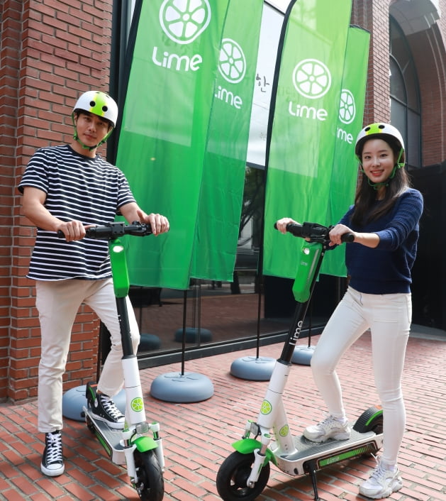 라임 이미지