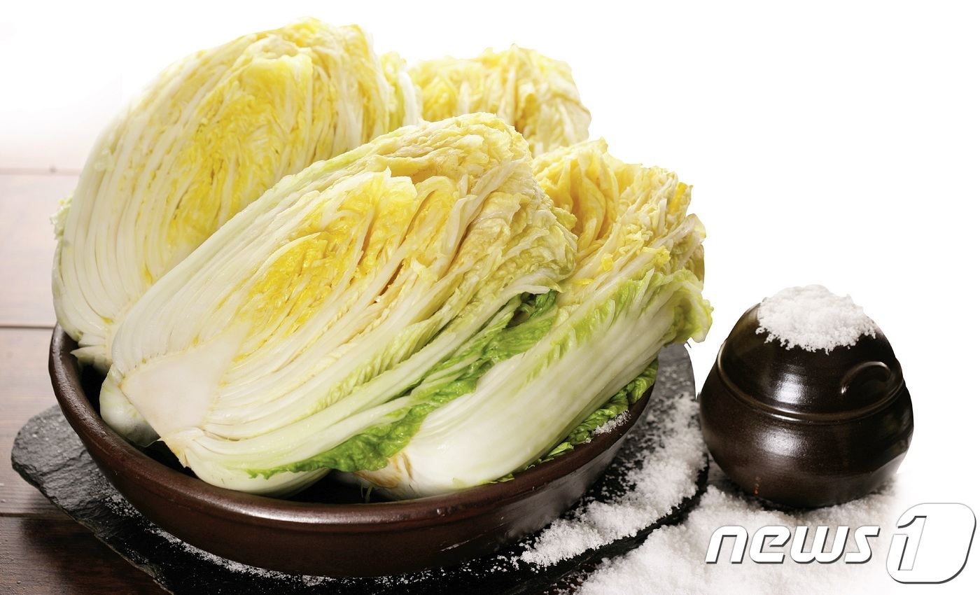 괴산시골절임배추영농조합법인 이미지