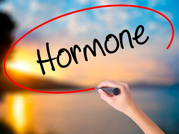 체내 호르몬이 건강하게 분비되고 기능하려면 균형 잡힌 식사를 하고 충분히 수면하는 것이 도움이 된다./사진=클립아트코리아
