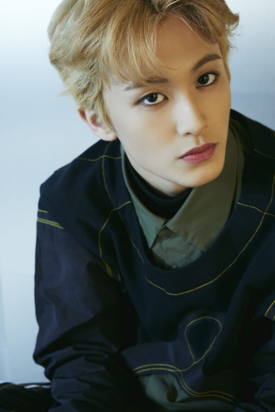 위마크 이미지