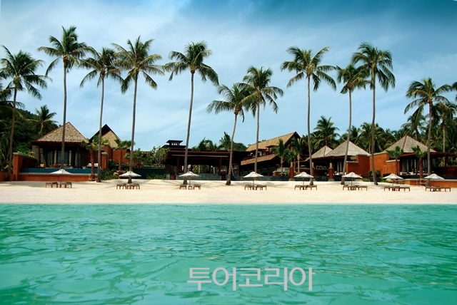 마이투어코리아 이미지
