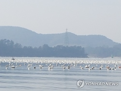 경남 통영 앞바다 양식장 스티로폼 부이 [촬영 이경욱·재판매 및 DB 금지]