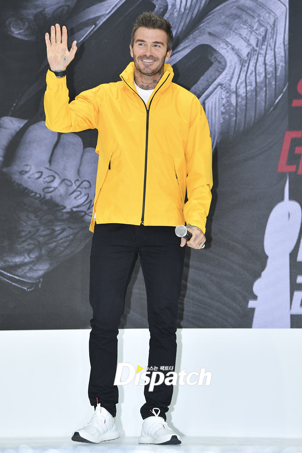 데이빗 이미지
