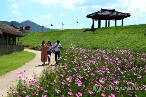 "서산 해미읍성으로 코스모스 구경 오세요" [서산시 제공. 재판매 및 DB 금지]