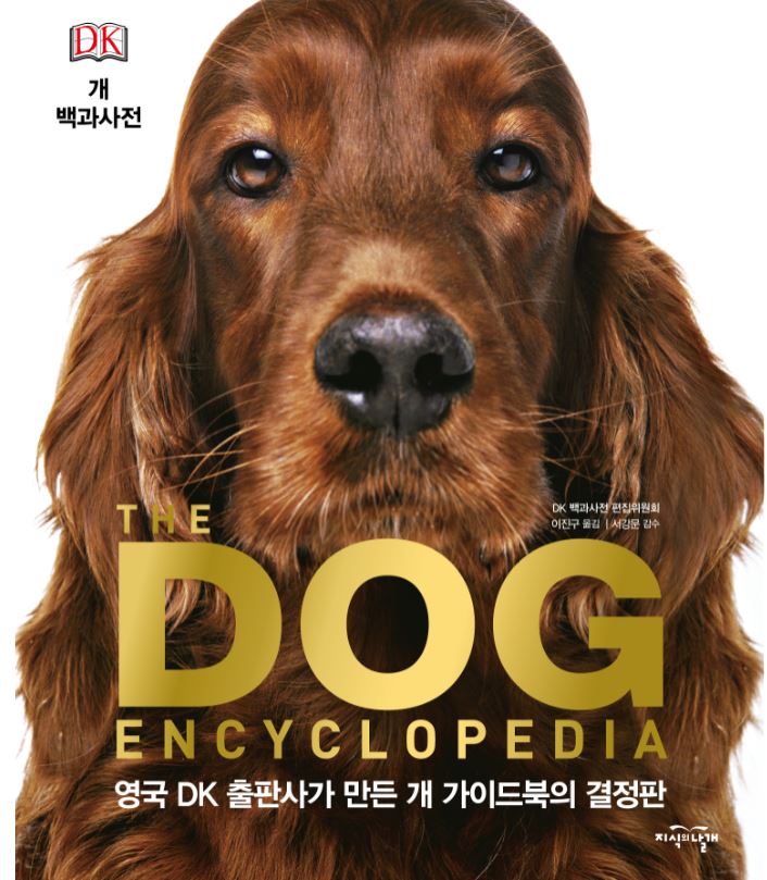 한국평생교육문화원 이미지