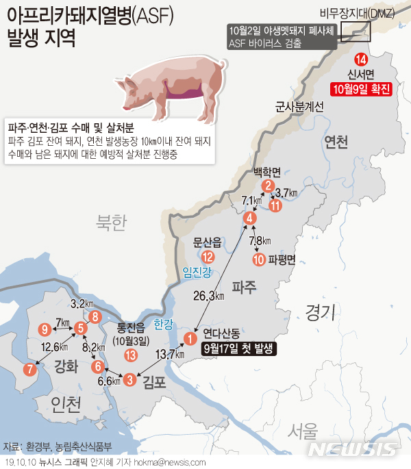 49돼지 이미지
