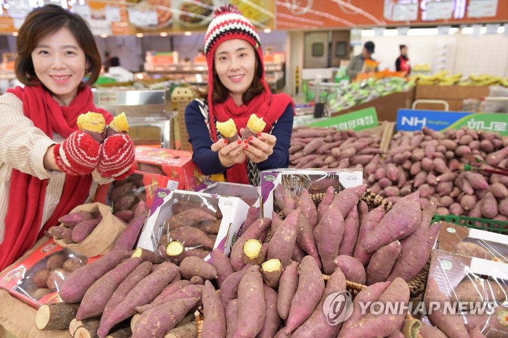 영암농협하나로마트 이미지