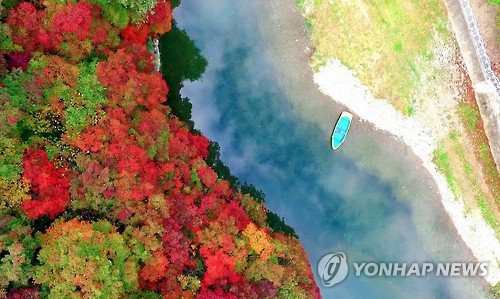 연리지미디어 이미지