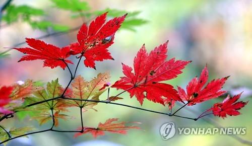 백천 이미지