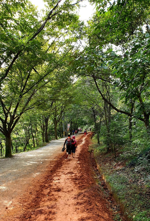 대전 계족산 황톳길