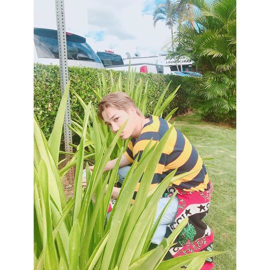 Group EXO member Kai showed off his handsome visuals to the full.Kai posted several photos on her Instagram account on October 13.The photo shows Kai sitting on a sign above the grassland, Kai staring at the camera with her chin on her chin.A distinct features like a piece of Kai make a handsome visual even more prominent.The fans who responded to the photos responded that the visual is crazy, the best looking in the world and I am happy every time I see the mirror.delay stock
