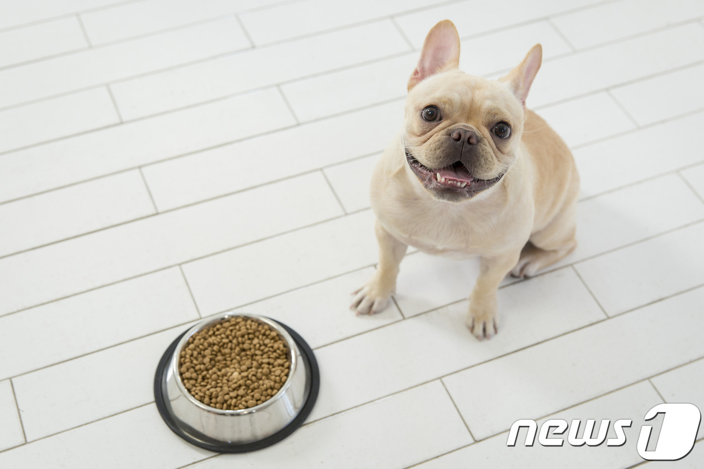 우진Food 이미지