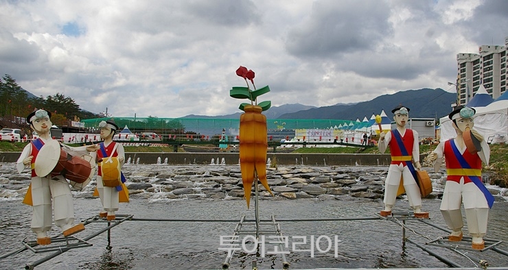 중앙인삼 이미지