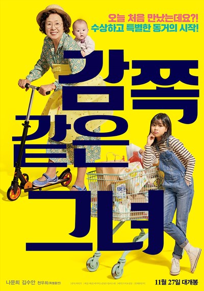 사단법인 강릉국제영화제 이미지