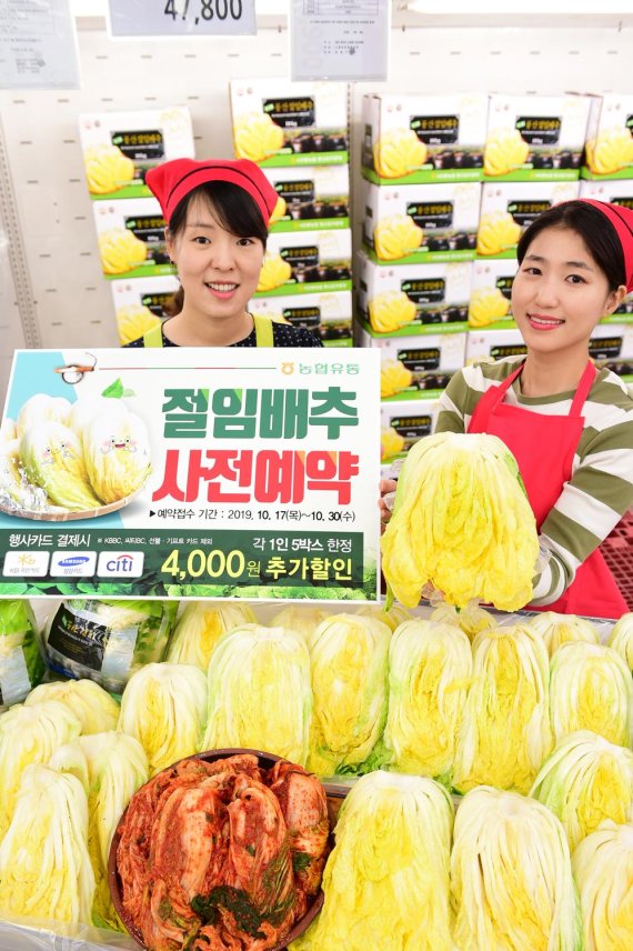대관령원예농협 하나로마트 이미지