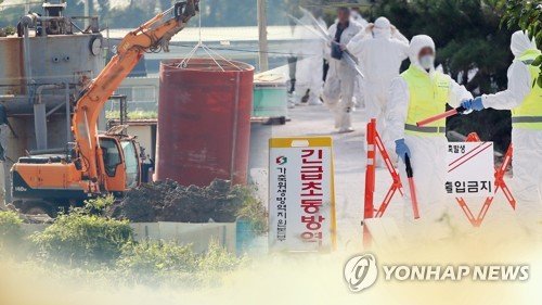 돼지인력 이미지