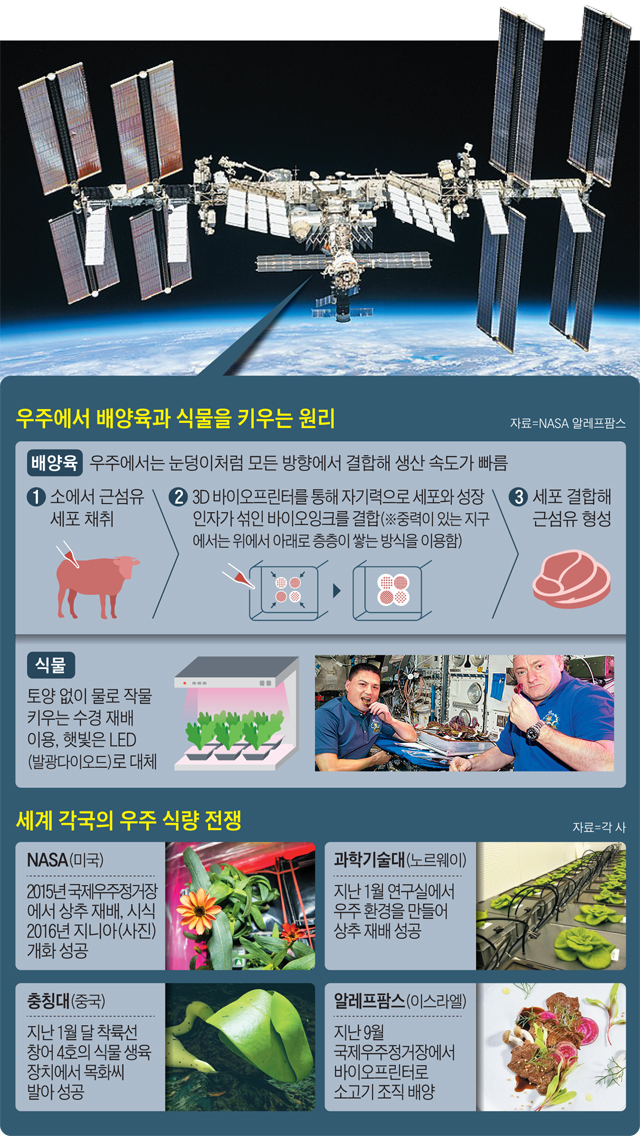 우주포장 이미지