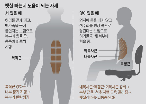 앉아 있는 자세만 바꿔도 척추 주변 근육을 강화할 수 있다./사진=헬스조선 DB