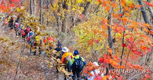 단풍 물든 설악산 오르는 등산객들 (속초=연합뉴스) 이종건 기자 = 20일 강원 설악산 국립공원을 찾은 등산객들이 천불동 계곡 구간 탐방로를 걸으며 붉게 물든 단풍을 감상하고 있다. 국립공원관리공단에 따르면 설악산 단풍은 이번 주말 절정에 접어들었다. 2019.10.20 momo@yna.co.kr