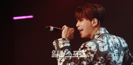 세인트빈 이미지