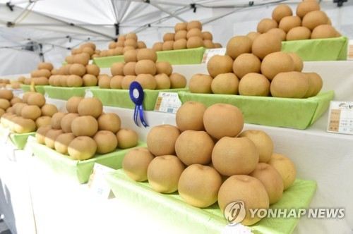 원주원예농협하나로클럽 이미지
